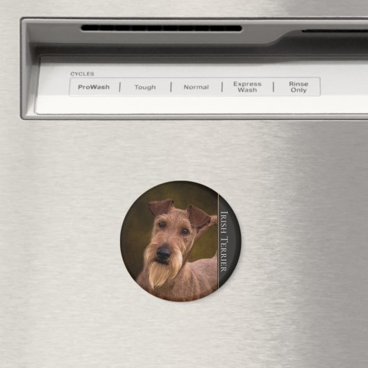 Ierse Terrier Magnet (Insitu (Vaatwasser))