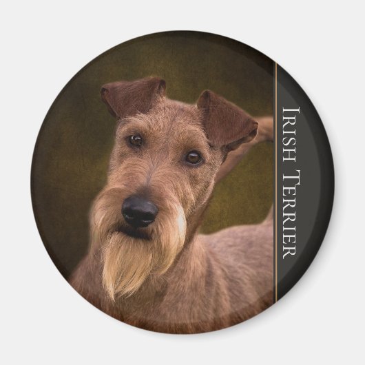 Ierse Terrier Magnet (Voorkant)