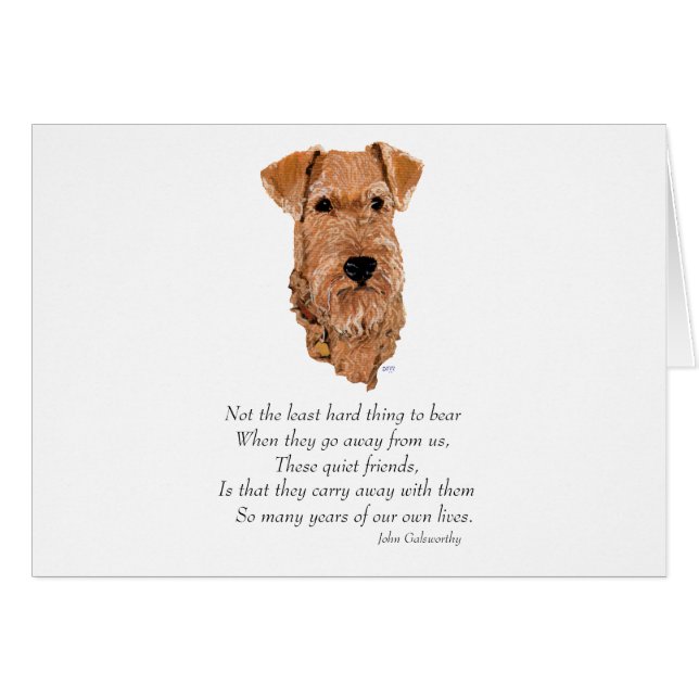 Ierse Terrier Regenboogbrug (Voorkant Horizontaal)