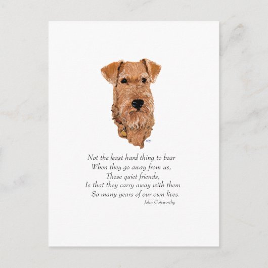 Ierse Terrier Regenboogbrug Briefkaart (Voorkant)