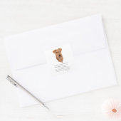 Ierse Terrier Regenboogbrug Vierkante Sticker (Envelop)