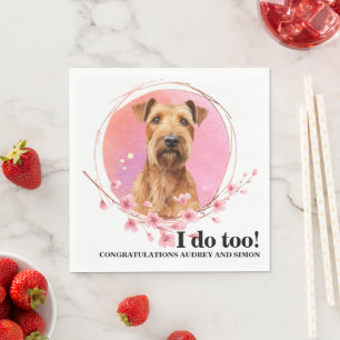 Ierse Terrier Trouwservetten Met Honden Foto Servet