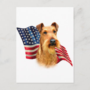 Ierse Terrier Vlag Briefkaart