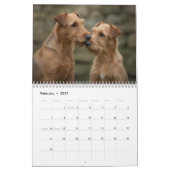 Ierse Terriërs 2027 Muurkalender Kalender (Feb 2027)