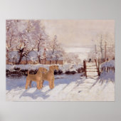 Ierse Terriers in de winter Poster (Voorkant)