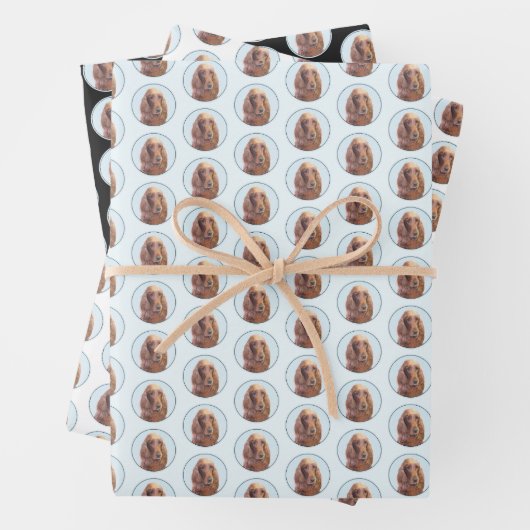 Ierse vereffeningskunst - Cute Original Dog Art Inpakpapier Vel (In situ)