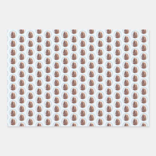 Ierse vereffeningskunst - Cute Original Dog Art Inpakpapier Vel (Voorkant)