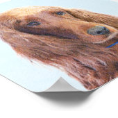 Ierse vereffeningskunst - Cute Original Dog Art Poster (Hoek)