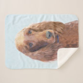 Ierse vereffeningskunst - Cute Original Dog Art Sherpa Deken (Voorkant (horizontaal))