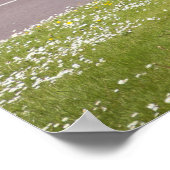 ierse verkeersborden in kerry poster (Hoek)