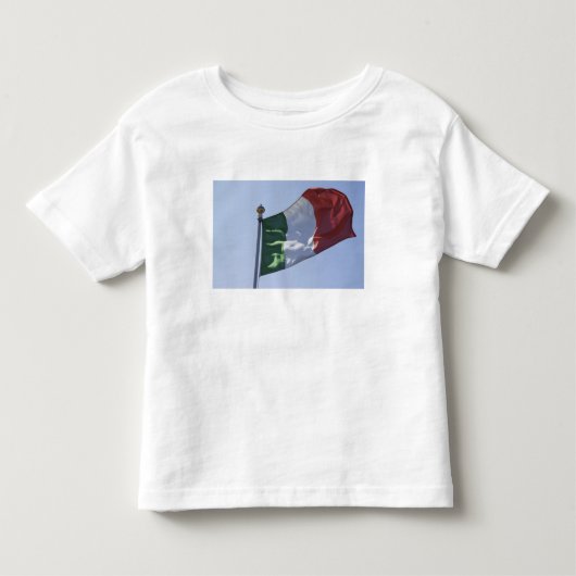 Ierse vlag kinder shirts (Voorkant)