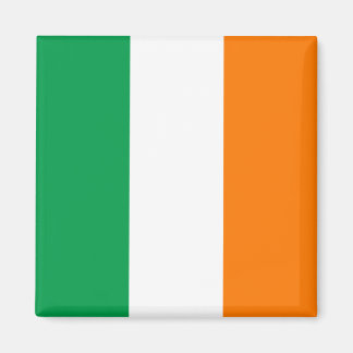 Ierse vlag magneet