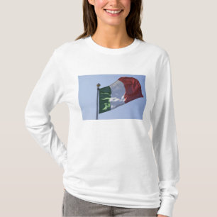 Ierse vlag t-shirt