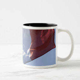 Ierse vlag tweekleurige koffiemok