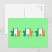 Ierse vlagkleur shamrocks briefkaart (Voorkant / Achterkant)