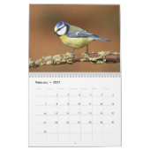 Ierse vogelkalender kalender (Feb 2027)