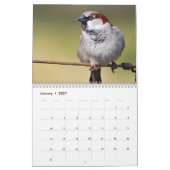 Ierse vogelkalender kalender (Jan 2027)