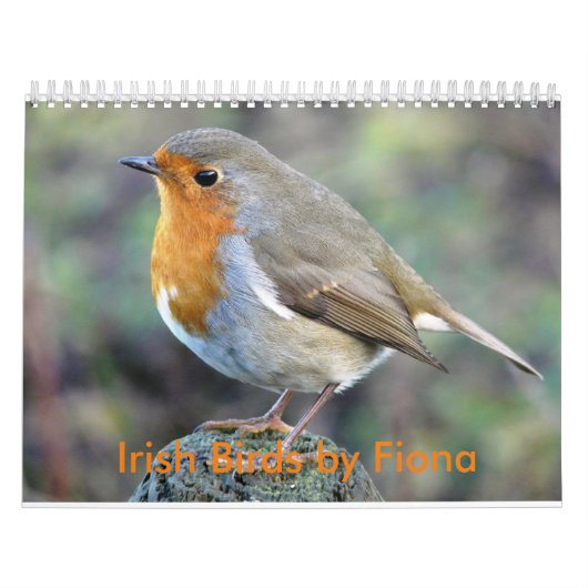 Ierse vogelkalender kalender (Hoes)