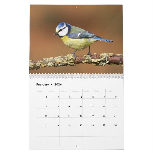 Ierse vogelkalender kalender (Feb 2026)