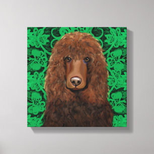 Ierse Water Spaniel Canvas Afdruk