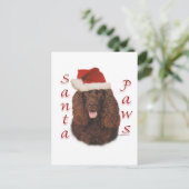 Ierse Water Spaniel Santa Paws Feestdagenkaart (Staand voorkant)