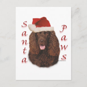 Ierse Water Spaniel Santa Paws Feestdagenkaart