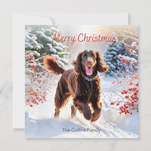 Ierse waterspaniël in de sneeuw Winter Vrolijk Ker Feestdagenkaart (Voorkant)