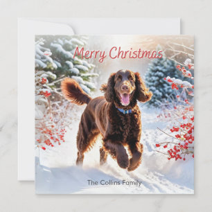 Ierse waterspaniël in de sneeuw Winter Vrolijk Ker Feestdagenkaart