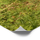 Ierse weg poster (Hoek)