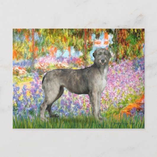 Ierse Wolfshond 3 - Tuin Briefkaart (Voorkant)