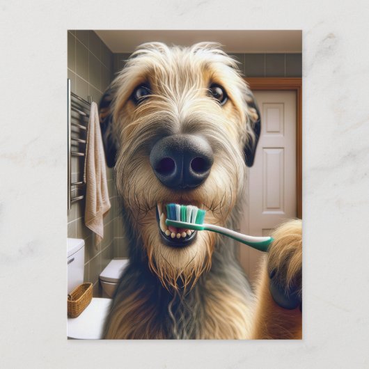 Ierse Wolfshond Herinnering van Dierenarts Kantoor Briefkaart (Voorkant)