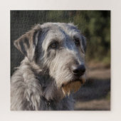 Ierse Wolfshond Ik ben niet geamuseerd, Legpuzzel (Verticaal)