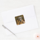 Ierse Wolfshond in de Knoop met Kerstverlichting Vierkante Sticker (Envelop)