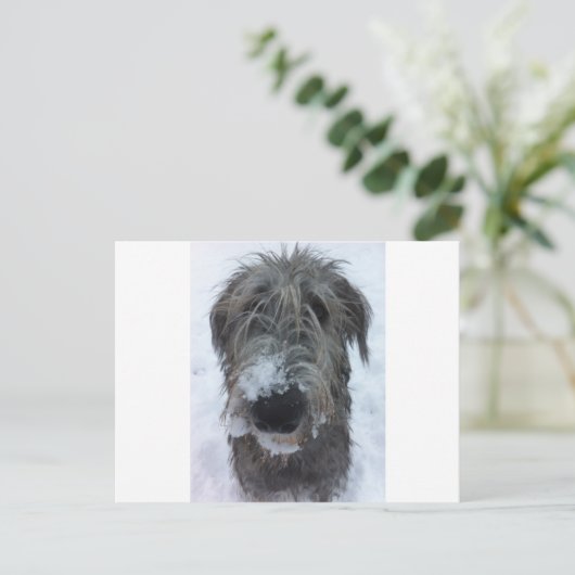 ierse wolfshond speelt in de sneeuw briefkaart (Staand voorkant)