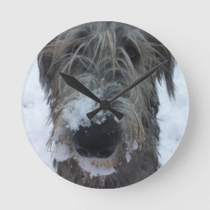 ierse wolfshond speelt in de sneeuw ronde klok