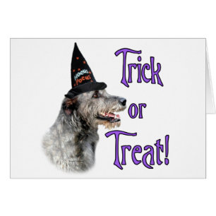 Ierse wolfshond truc