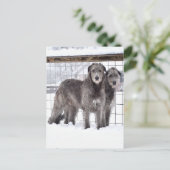 Ierse Wolfshonden in de sneeuw Briefkaart (Staand voorkant)