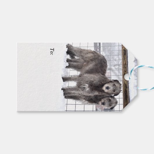 Ierse Wolfshonden in de sneeuw Cadeaulabel (Voorkant (Horizontaal))
