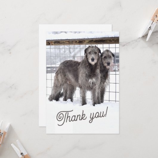 Ierse Wolfshonden in de sneeuw Kaart (Voorkant / Achterkant in situ)