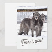 Ierse Wolfshonden in de sneeuw Kaart (Voorkant / Achterkant)