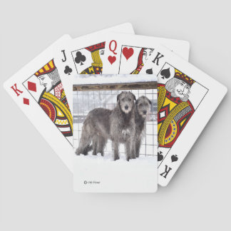 Ierse Wolfshonden in Sneeuwklassieker Pokerkaarten