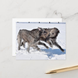 Ierse Wolfshonden rennen in de sneeuw Briefkaart