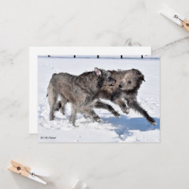 Ierse Wolfshonden rennen in de sneeuw Kaart