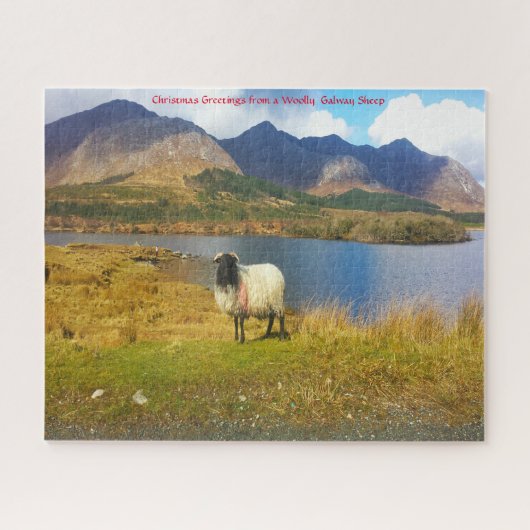Ierse Wolharige Schaap Galway Ierland. Legpuzzel (Horizontaal)