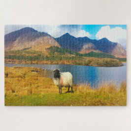 Ierse Wolharige Schaap Galway Ierland. Legpuzzel