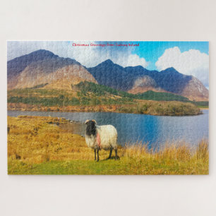 Ierse Wolharige Schaap Galway Ierland. Legpuzzel
