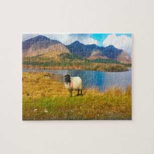 Ierse Wolharige Schaap Galway Ierland. Legpuzzel