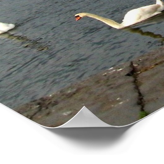 Ierse woningen poster (Hoek)