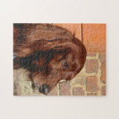 ierse zetter .png legpuzzel (Horizontaal)