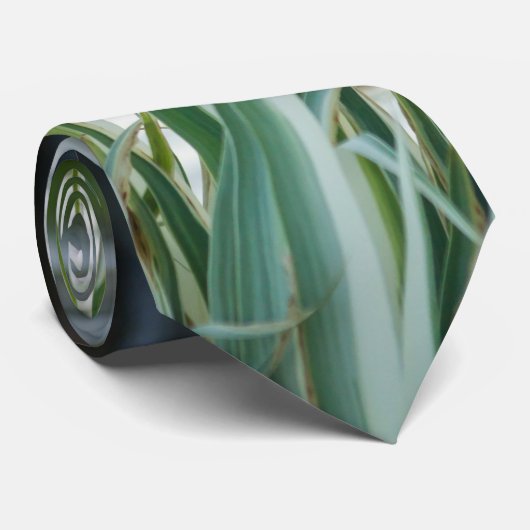 IETEN bij het Stropdas van Chateau (Opgerold)